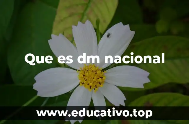 Que es dm nacional