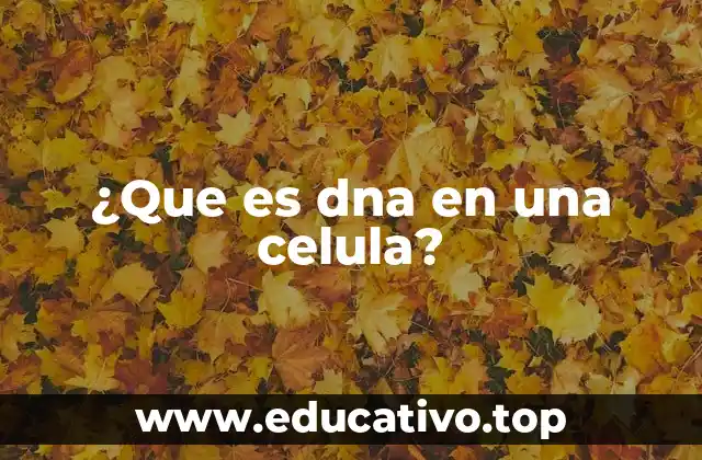 ¿Que es dna en una celula?
