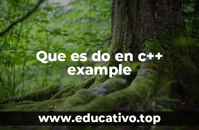 Que es do en c++ example