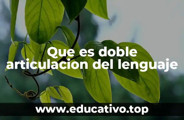 Que es doble articulacion del lenguaje