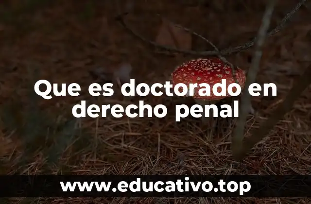 Que es doctorado en derecho penal