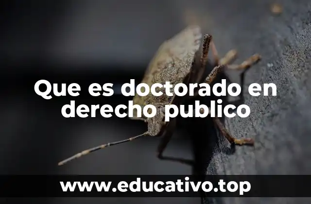 Que es doctorado en derecho publico
