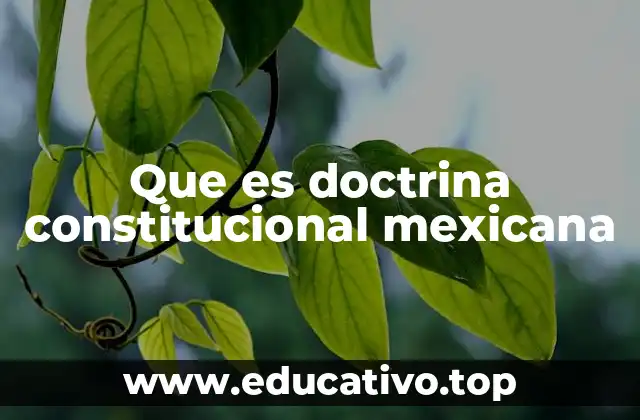 La evolución de la Constitución Mexicana como base de la doctrina
