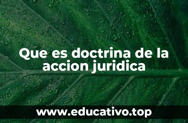 Que es doctrina de la accion juridica