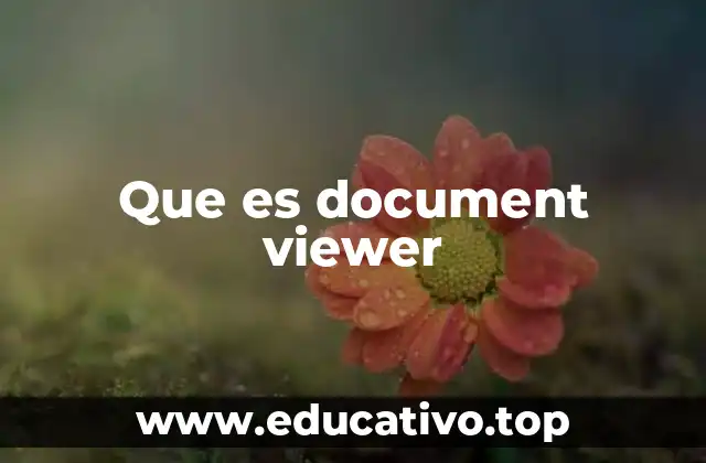 Cómo los document viewers han transformado la gestión de documentos digitales