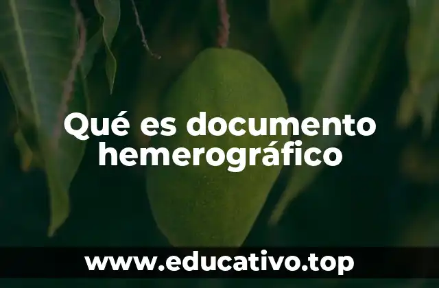 Qué es documento hemerográfico