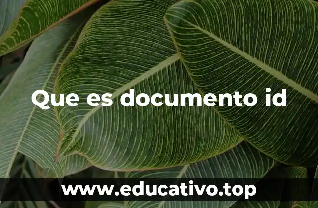 Que es documento id