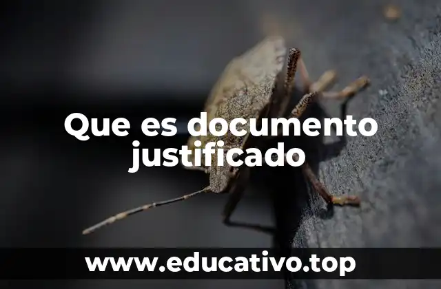 Que es documento justificado