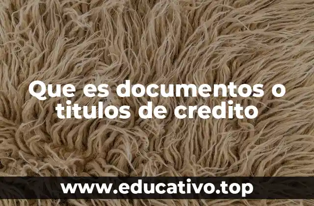Que es documentos o titulos de credito