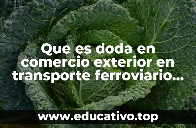 Que es doda en comercio exterior en transporte ferroviario 2019