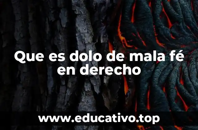 Que es dolo de mala fé en derecho