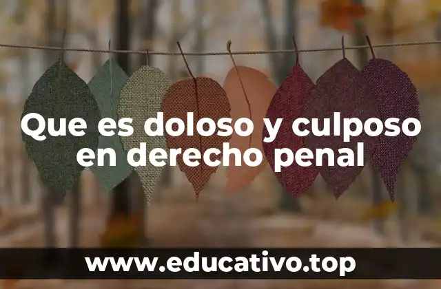 Que es doloso y culposo en derecho penal