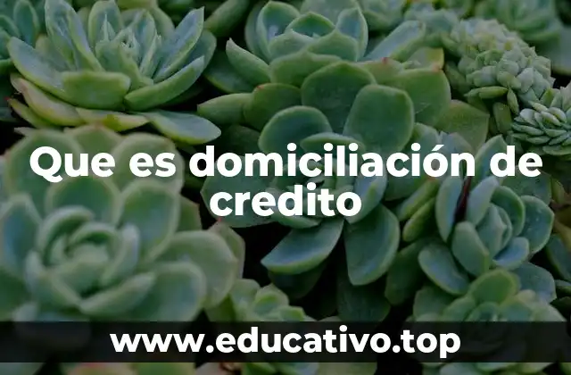 Que es domiciliación de credito