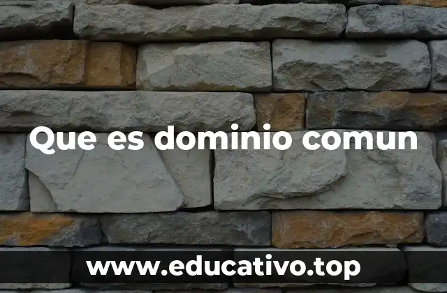 Que es dominio comun