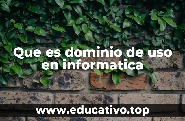 Que es dominio de uso en informatica