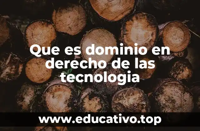 Que es dominio en derecho de las tecnologia