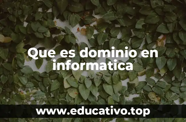 Que es dominio en informatica