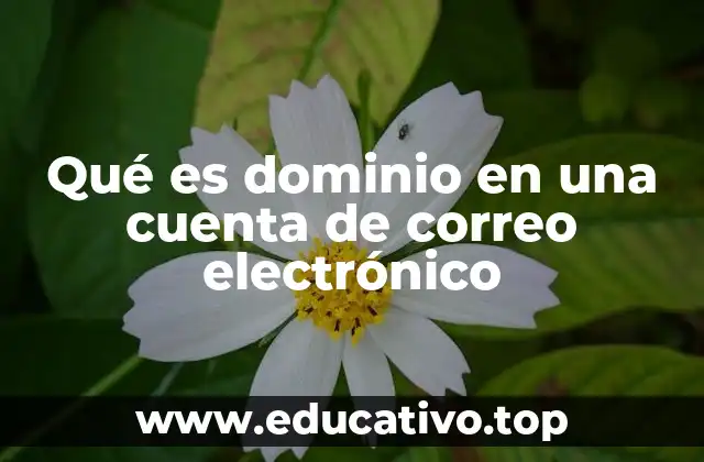 La importancia del dominio en la identidad digital