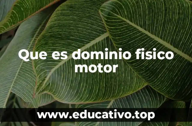 La importancia del desarrollo motor en la niñez