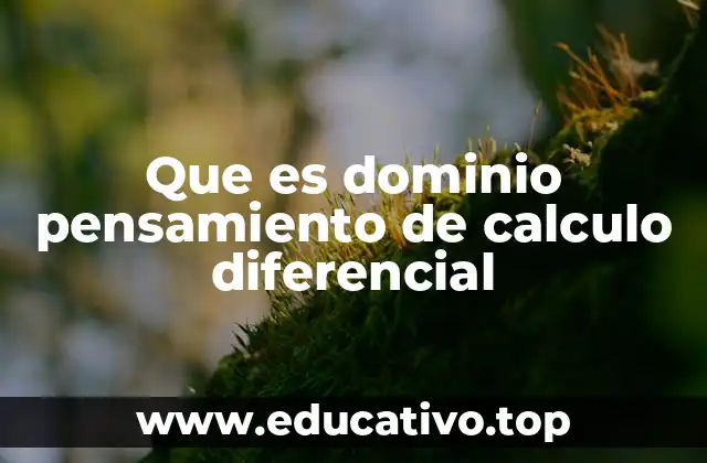 Que es dominio pensamiento de calculo diferencial
