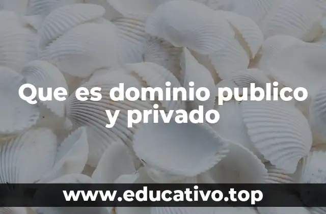 Que es dominio publico y privado