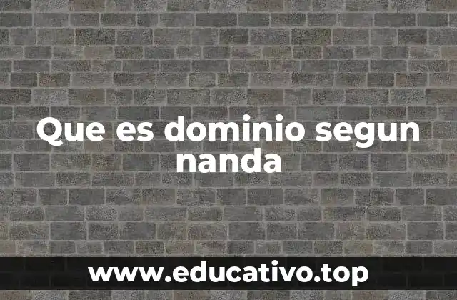 Que es dominio segun nanda