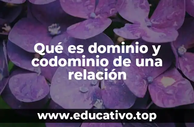 Qué es dominio y codominio de una relación