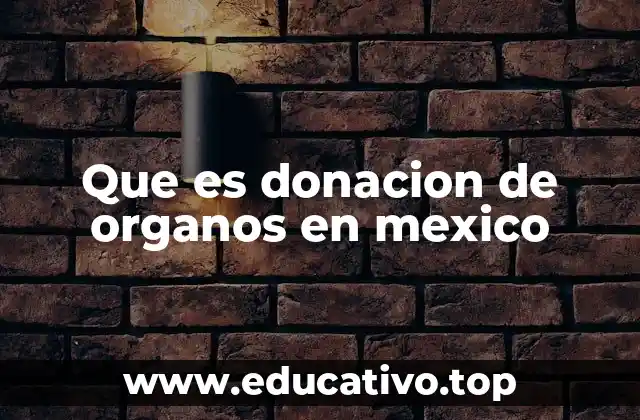 Que es donacion de organos en mexico
