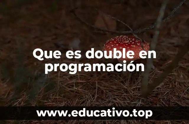 Que es double en programación