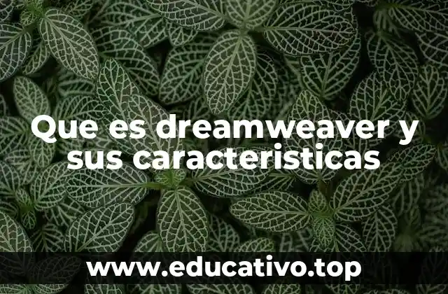 Que es dreamweaver y sus caracteristicas