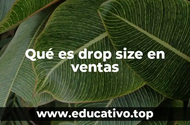 Qué es drop size en ventas