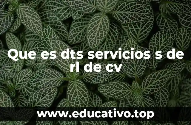 Que es dts servicios s de rl de cv