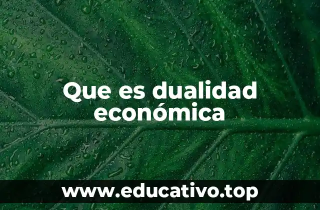 Que es dualidad económica