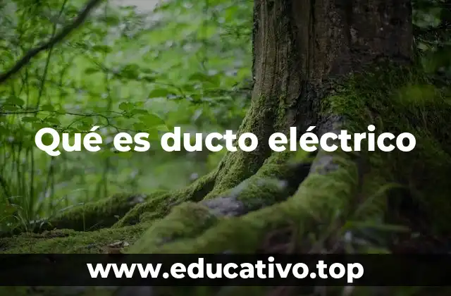Qué es ducto eléctrico