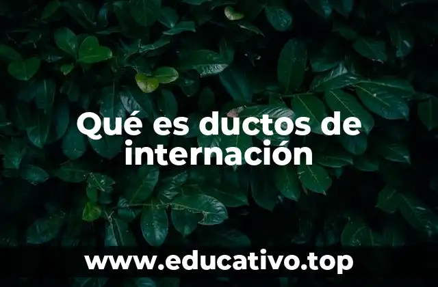 Qué es ductos de internación