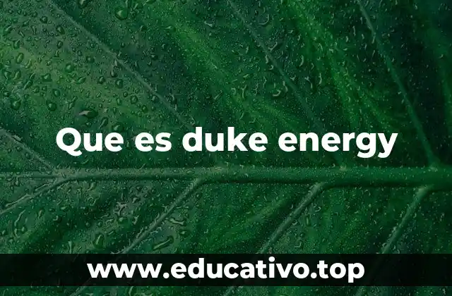 El papel de Duke Energy en el mercado energético norteamericano