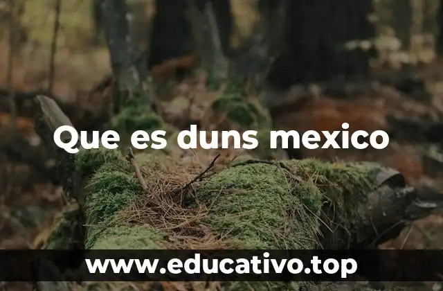 Que es duns mexico