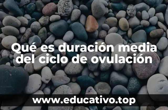 Qué es duración media del ciclo de ovulación