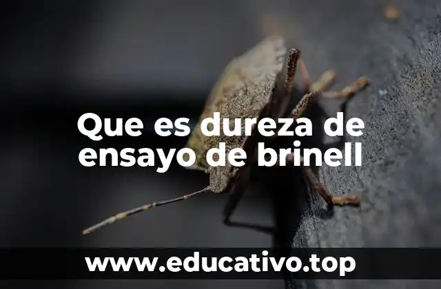 Que es dureza de ensayo de brinell