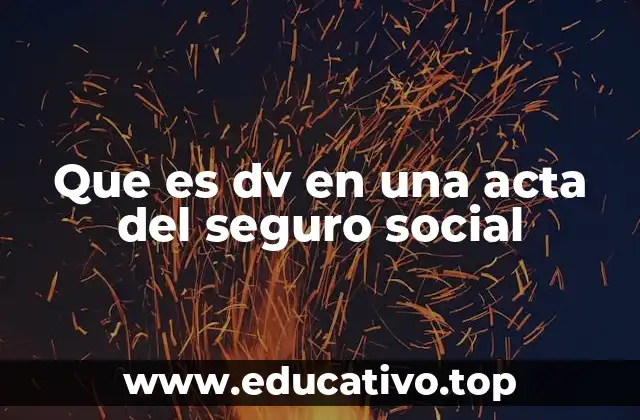 Que es dv en una acta del seguro social