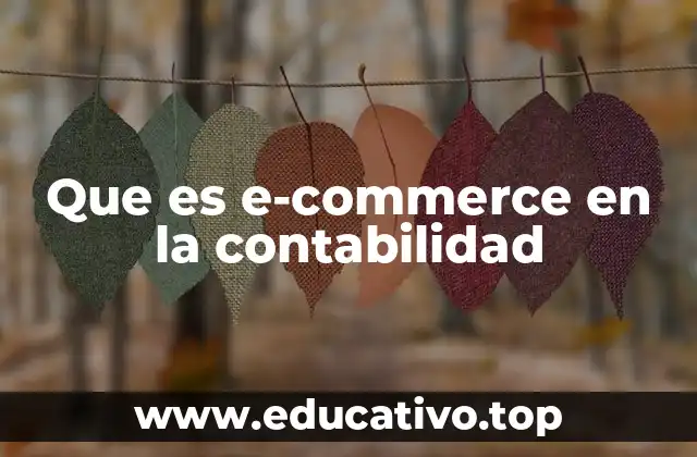 Que es e-commerce en la contabilidad