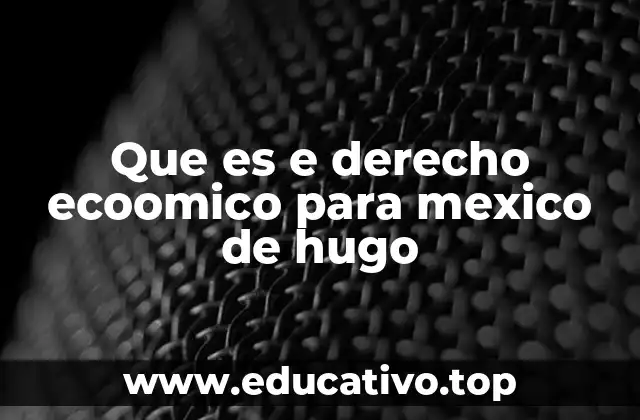 Que es e derecho ecoomico para mexico de hugo