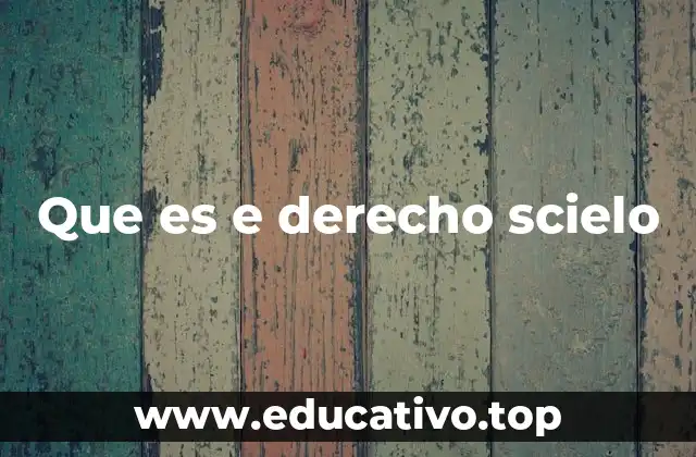 Que es e derecho scielo