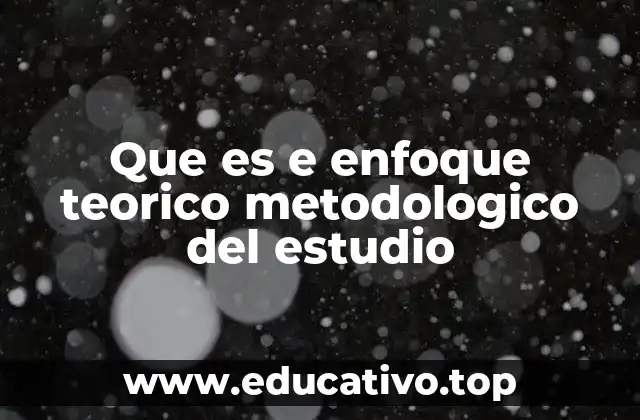 Que es e enfoque teorico metodologico del estudio
