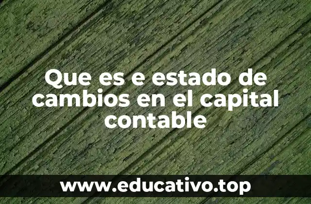 Que es e estado de cambios en el capital contable