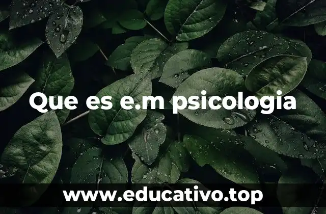 Que es e.m psicologia