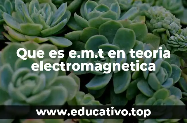 Que es e.m.t en teoria electromagnetica