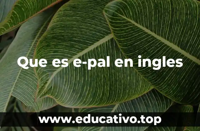 Que es e-pal en ingles