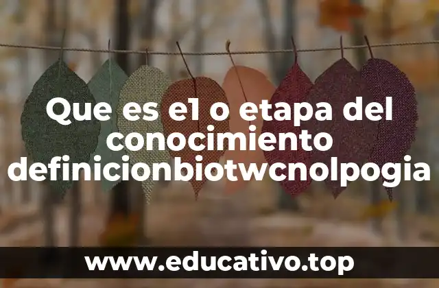 Que es e1 o etapa del conocimiento definicionbiotwcnolpogia