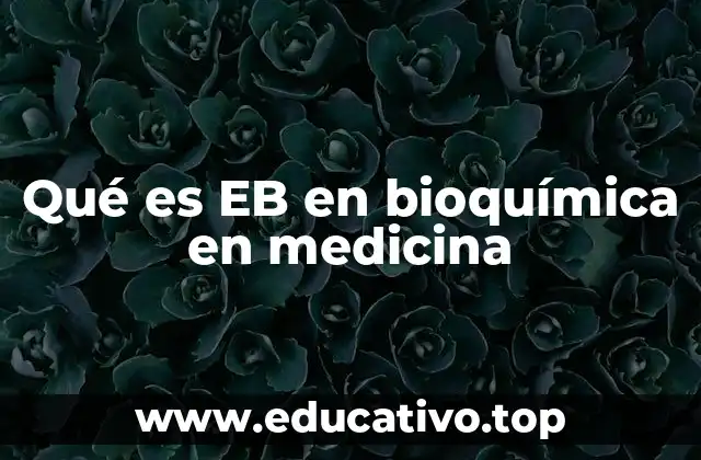 Qué es EB en bioquímica en medicina